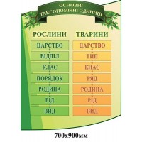 Стенд Основні таксономічні одиниці зелений